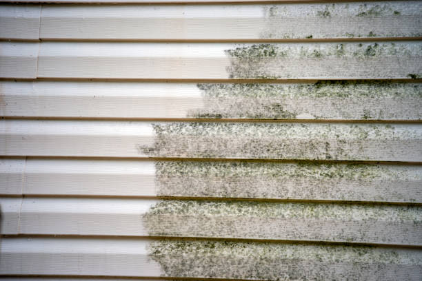 Siding Removal and Disposal in New Philadelphia, OH